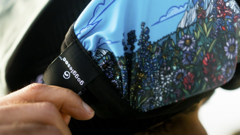 gogglesox pro version