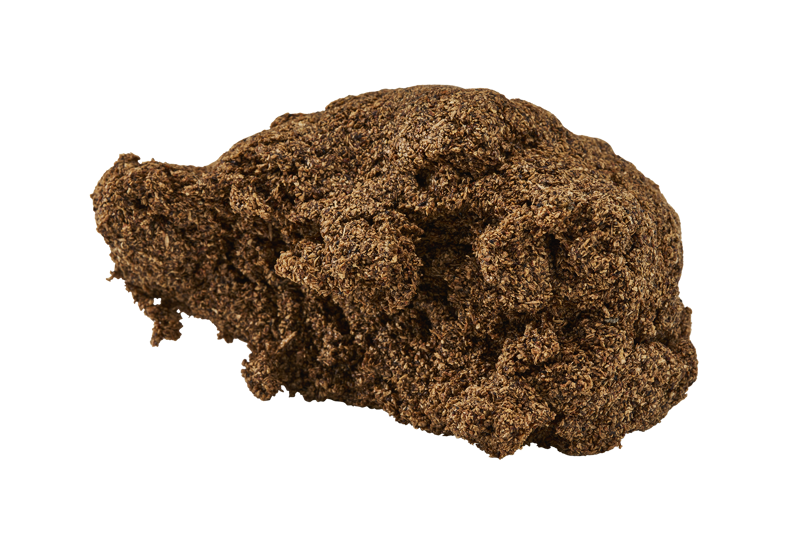 ZipFit SpotFit Injection Tube of OMFit Cork 15g-1