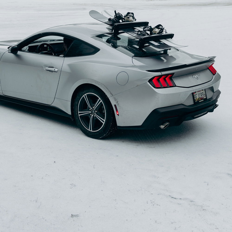 SeaSucker Classic Ski Rack in Silver-3