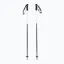 Volkl Phantastick III Ski Poles in Black
